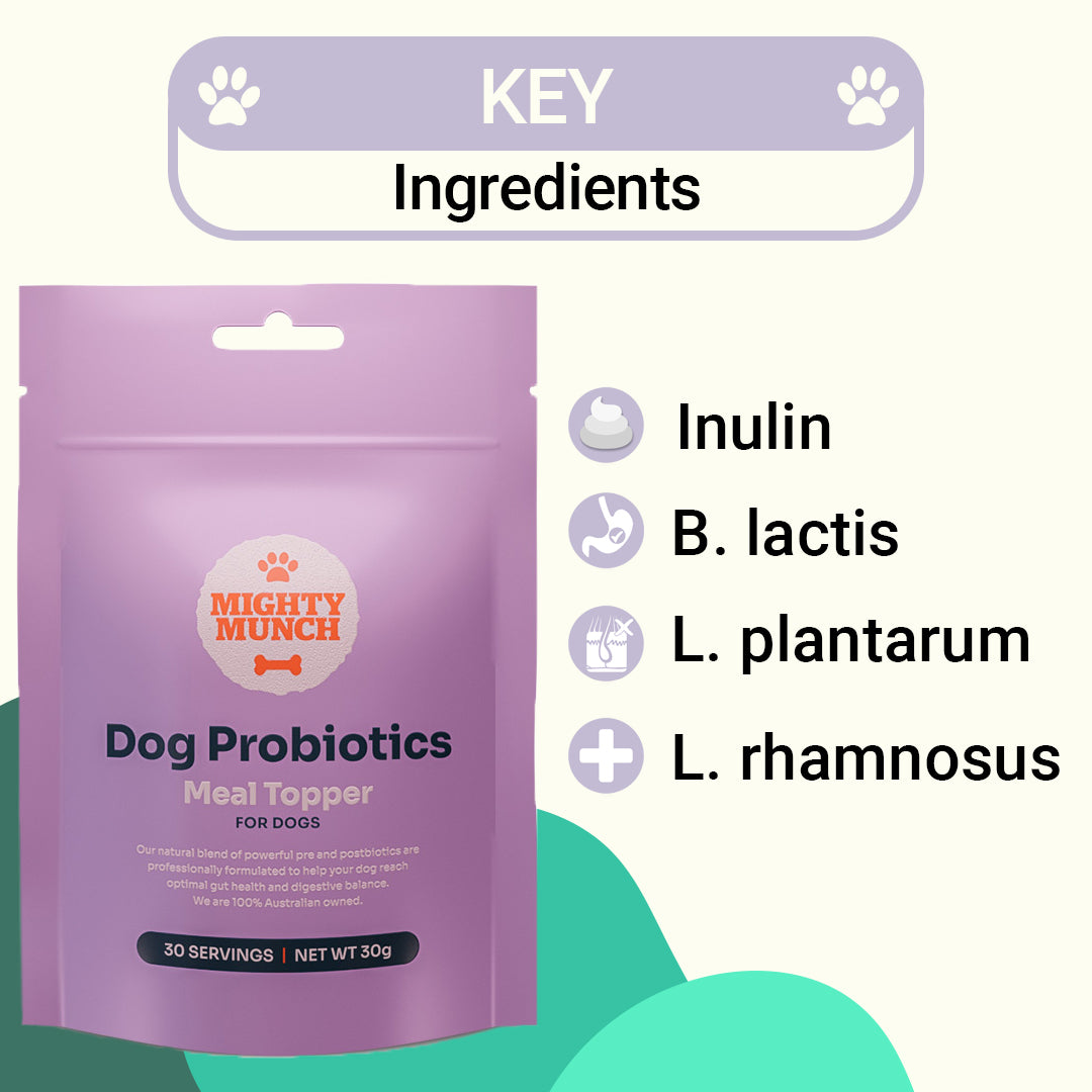 Probiotic Coat Bundle